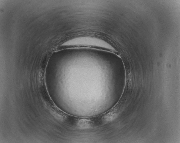 X0000084550222200703091728