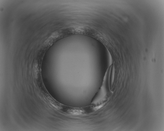 X0000084550223200703091728