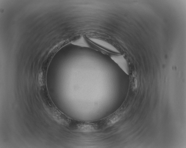 X0000084550224200703091728