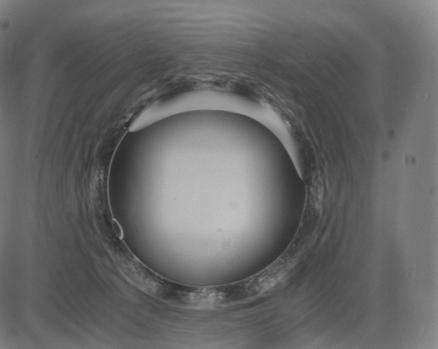 X0000084550225200703091728