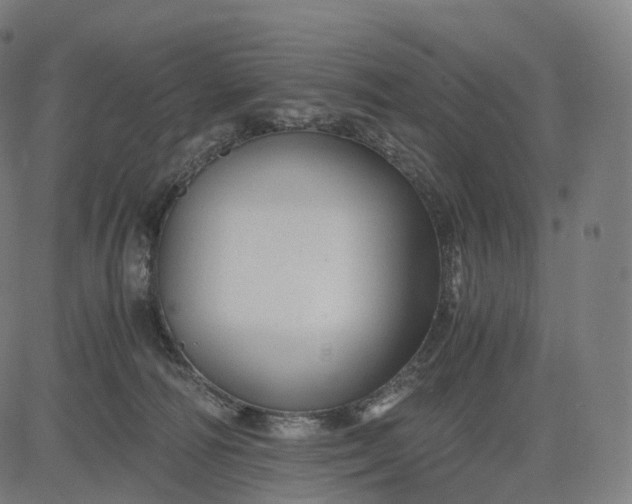 X0000084550226200703091728