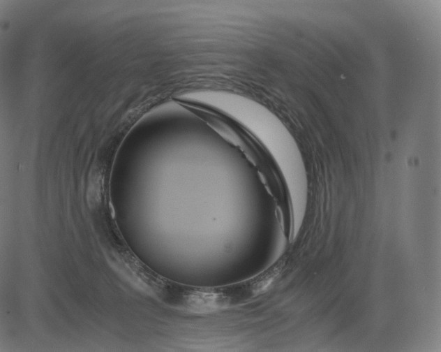 X0000084550227200703091728