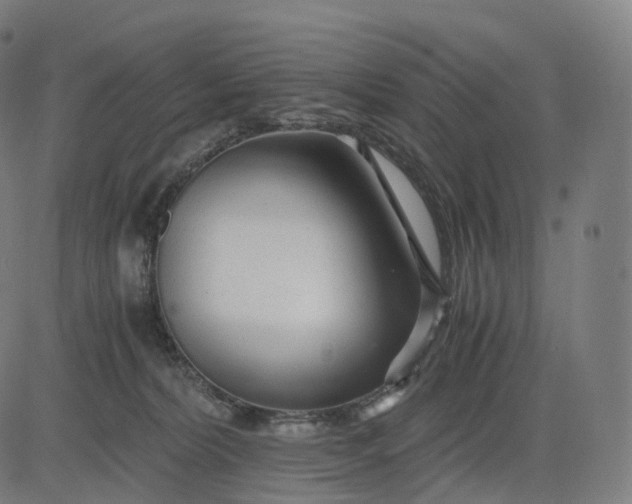 X0000084550228200703091727