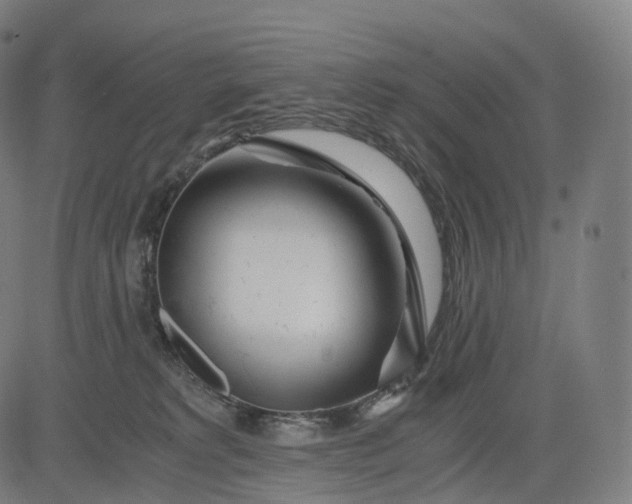 X0000084550229200703091727