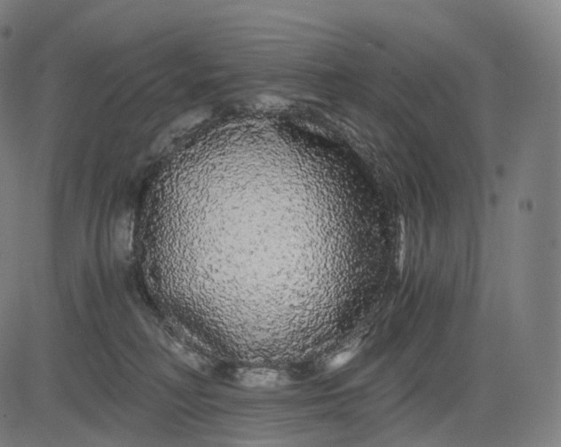 X0000084550230200703091727