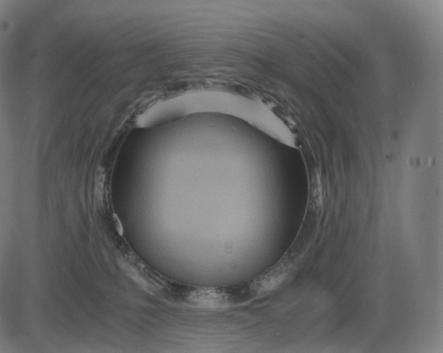 X0000084550231200703091727