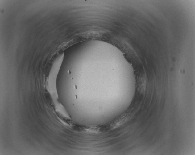 X0000084550232200703091727