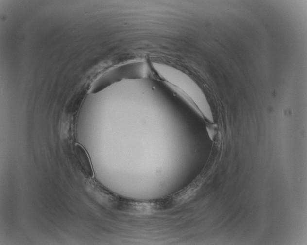 X0000084550233200703091727