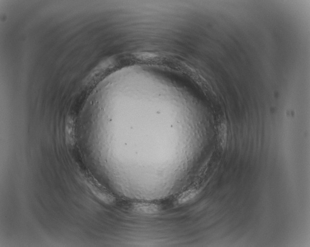 X0000084550234200703091727