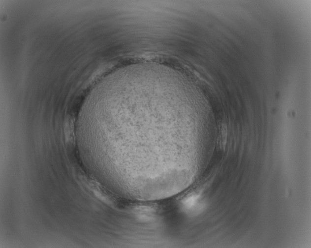 X0000084550236200703091727