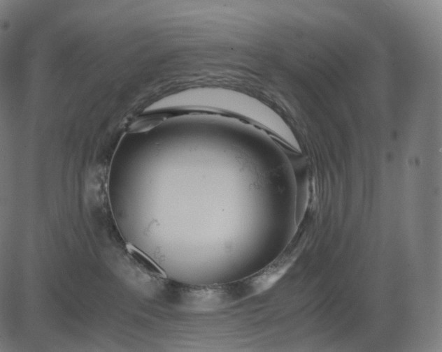 X0000084550237200703091727