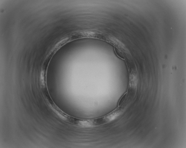 X0000084550238200703091727