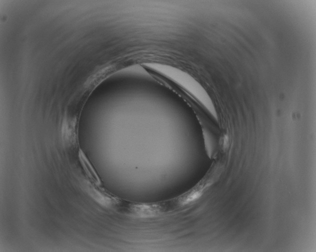 X0000084550239200703091727