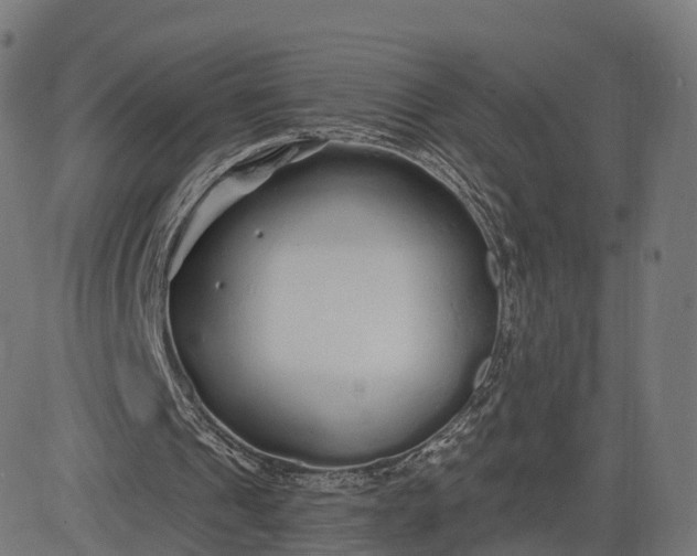 X0000084550241200703091726