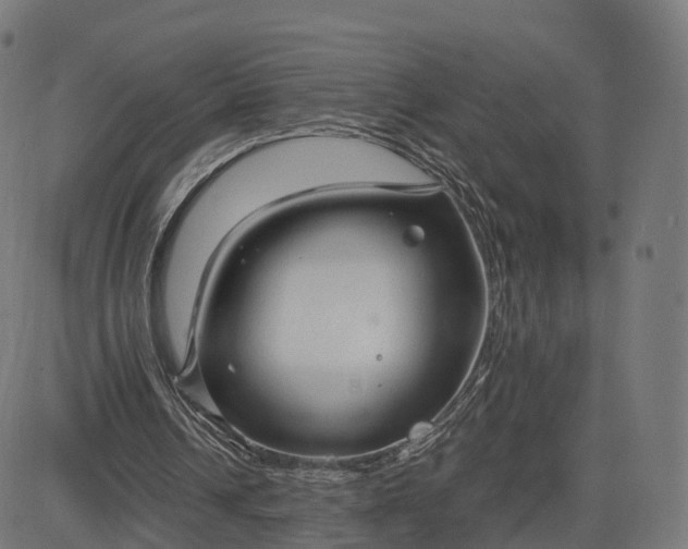 X0000084550242200703091727