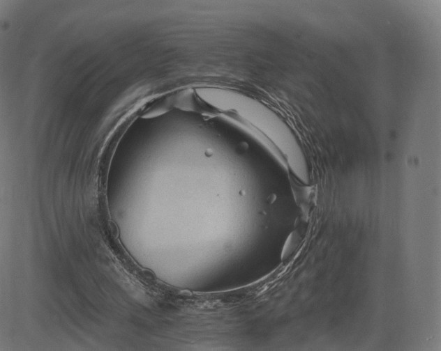 X0000084550243200703091727