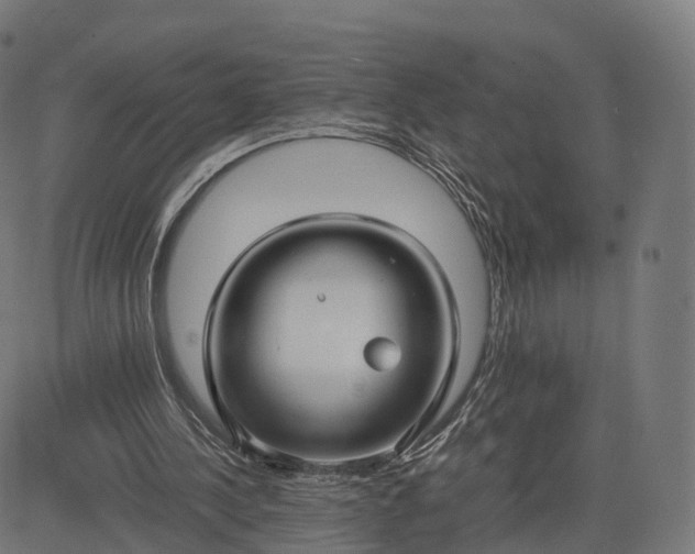 X0000084550244200703091727