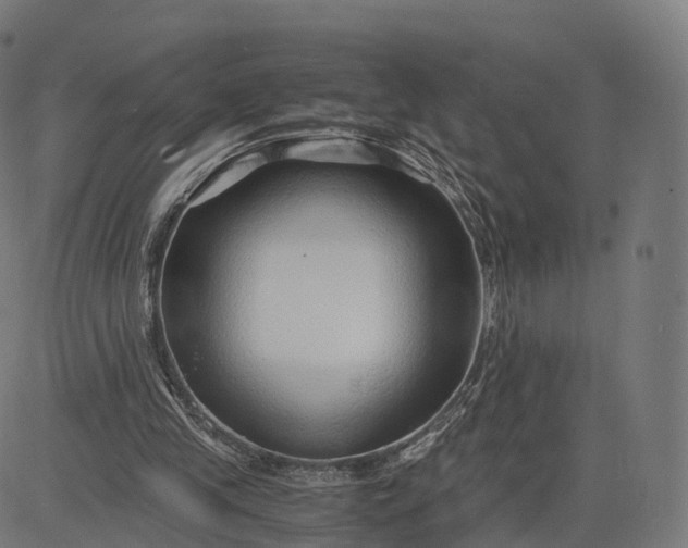 X0000084550245200703091727