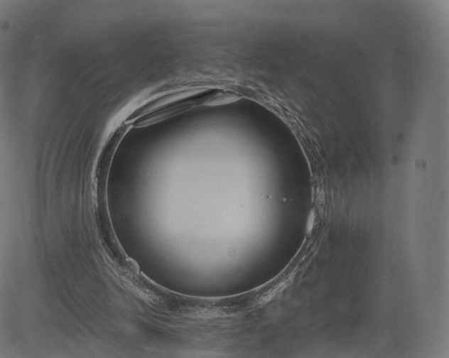 X0000084550246200703091727