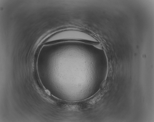 X0000084550247200703091727