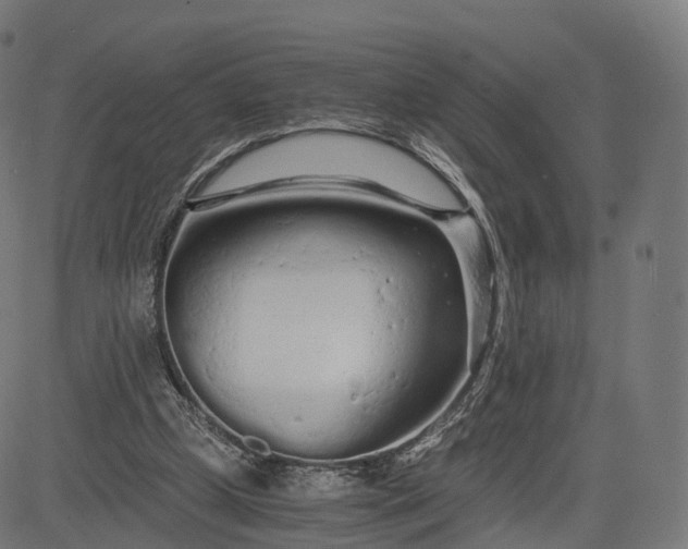 X0000084550249200703091727