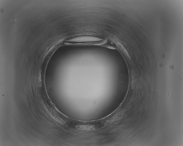 X0000084550251200703091727