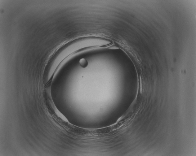 X0000084550252200703091727