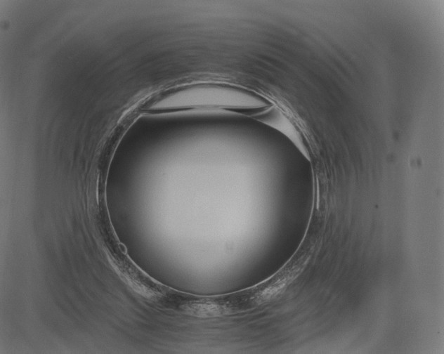 X0000084550253200703091727