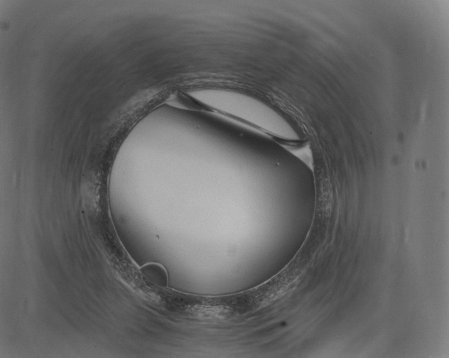 X0000084550255200703091727