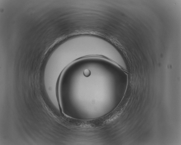 X0000084550256200703091727