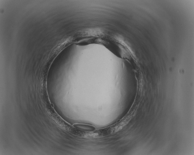 X0000084550257200703091727