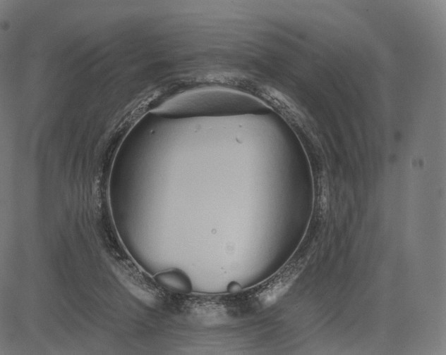 X0000084550258200703091727