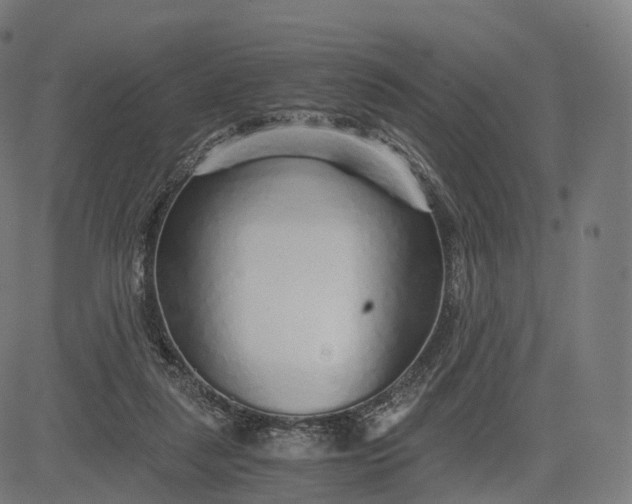 X0000084550259200703091727