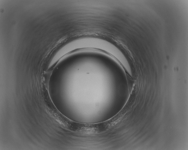 X0000084550260200703091727