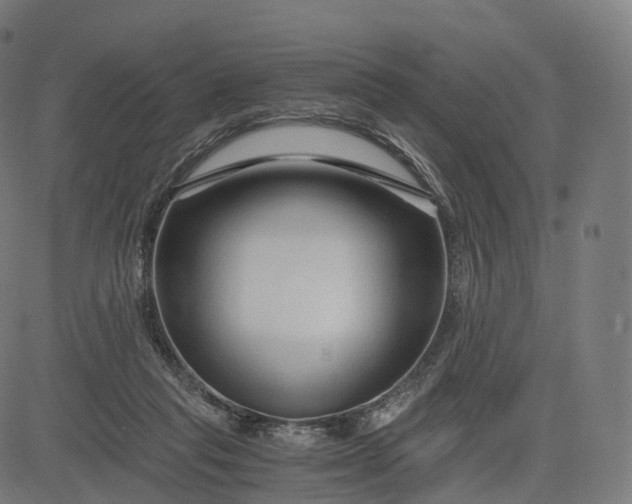 X0000084550261200703091727