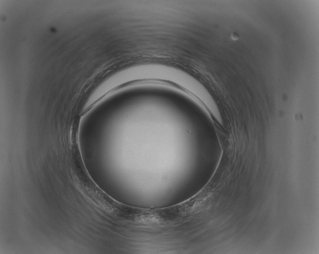 X0000084550262200703091727