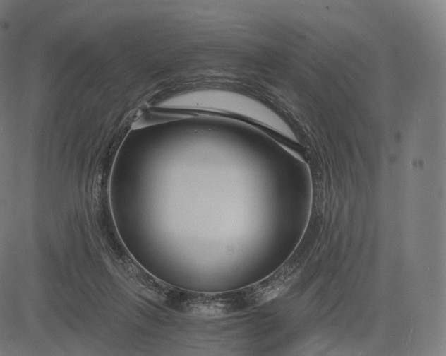 X0000084550263200703091727