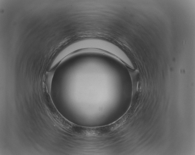 X0000084550264200703091727