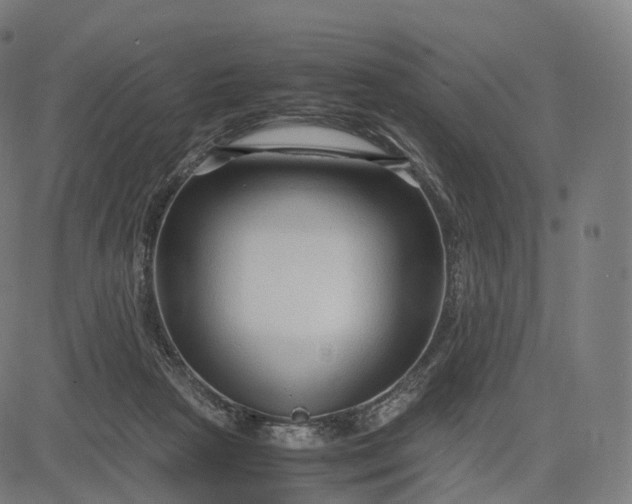 X0000084550265200703091727