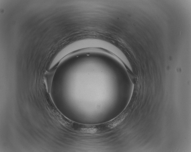 X0000084550266200703091727