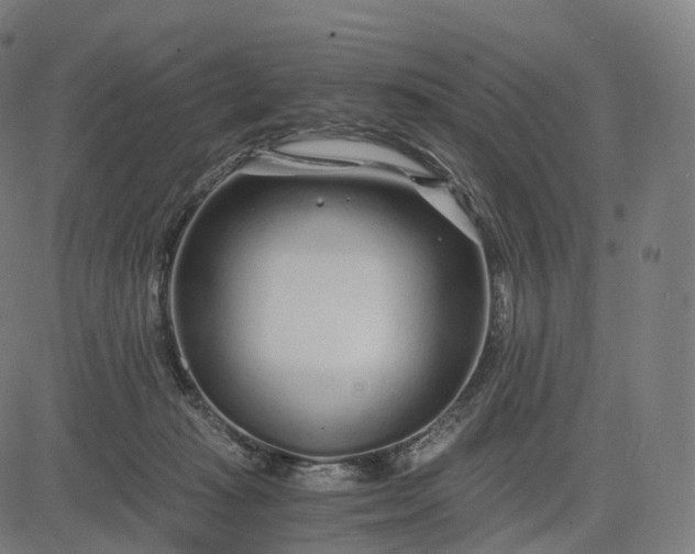 X0000084550269200703091727