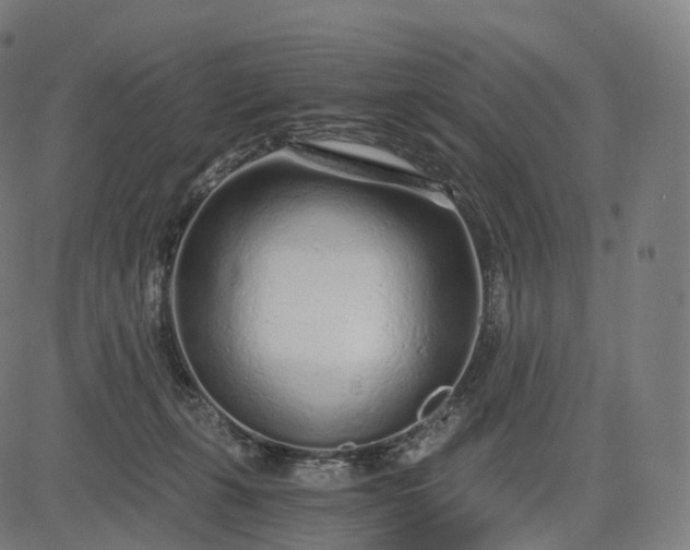 X0000084550271200703091727