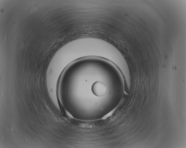 X0000084550272200703091727