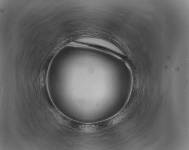 X0000084550273200703091727