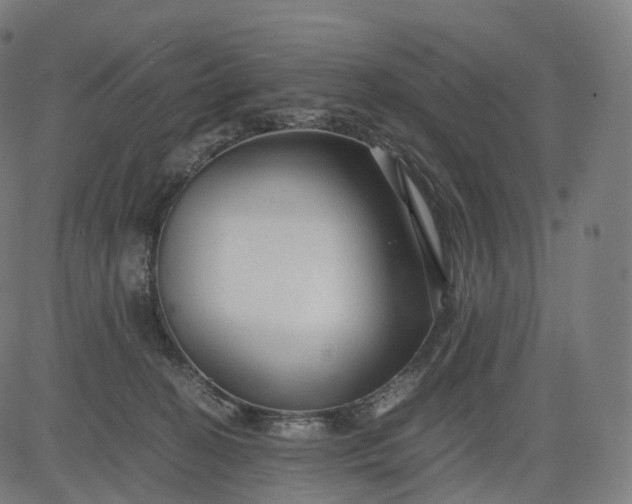 X0000084550274200703091727