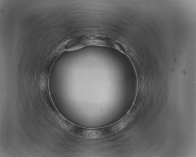 X0000084550277200703091727