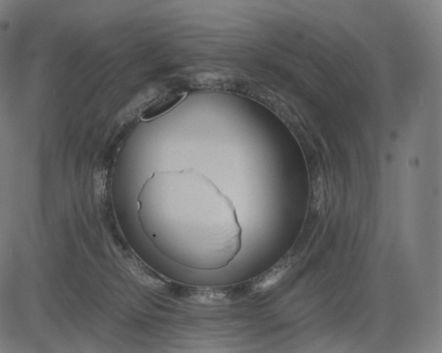 X0000084550278200703091727