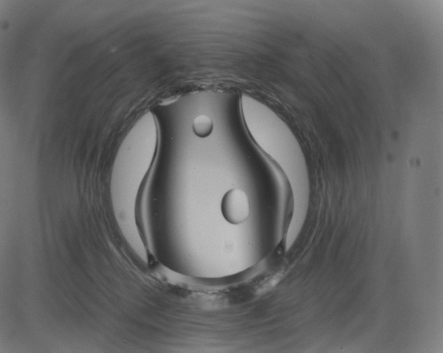 X0000084550280200703091727