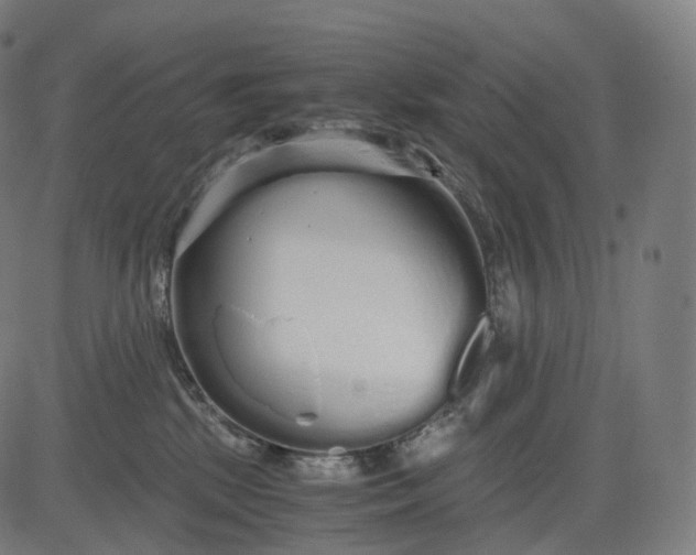 X0000084550281200703091727