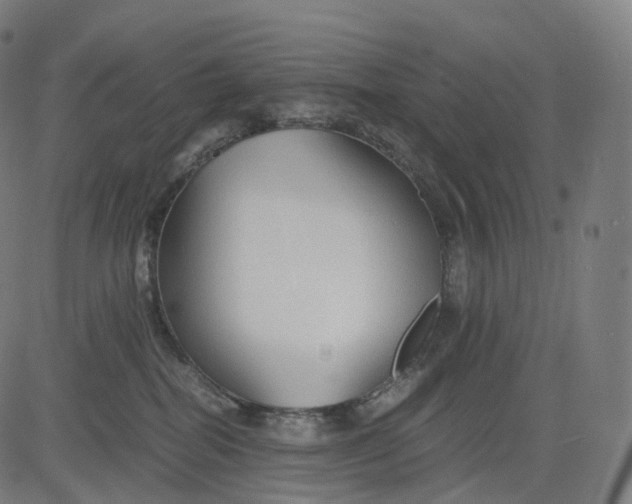 X0000084550282200703091727